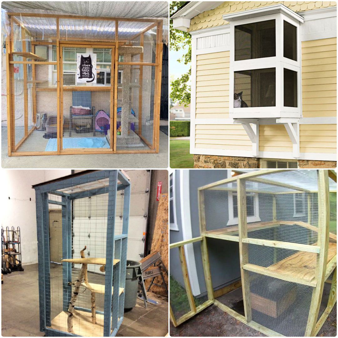 DIY Catio Plans: Build a Safe Outdoor Enclosure for Your Cat